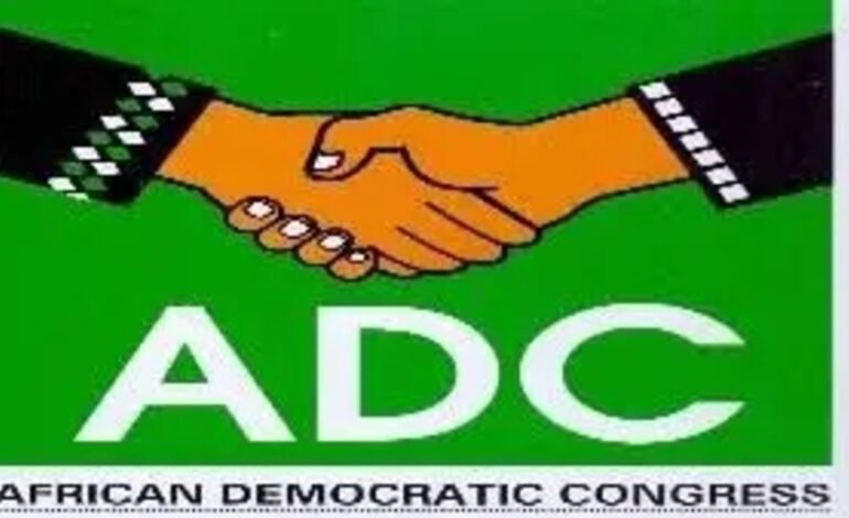 ADC candidates reject Adamawa LG election results, demand fresh poll