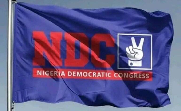 Deregistration: ‘NDC remains legally recognised, operational party’ — Zamfara chairman