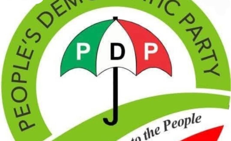2027 election: People want service, not propaganda – Ogun PDP 