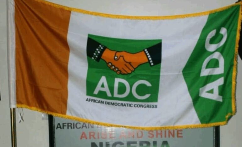 Adamawa Court Fines ADC Guber Candidate N3m For Violating Executive Order