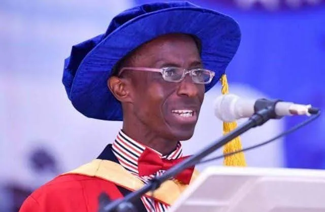University of Ibadan appoints Peter Olapegba as 14th Vice Chancellor