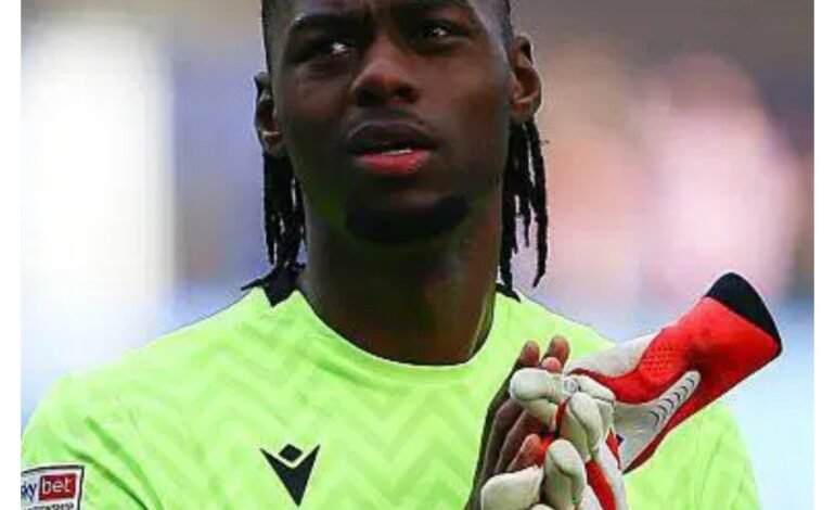 Transfer: Super Eagles goalkeeper joins Charlton Athletic on loan