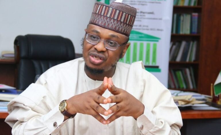 Court Nullifies Pantami’s Ticket, Orders Fresh PDP Gov’ship Primary