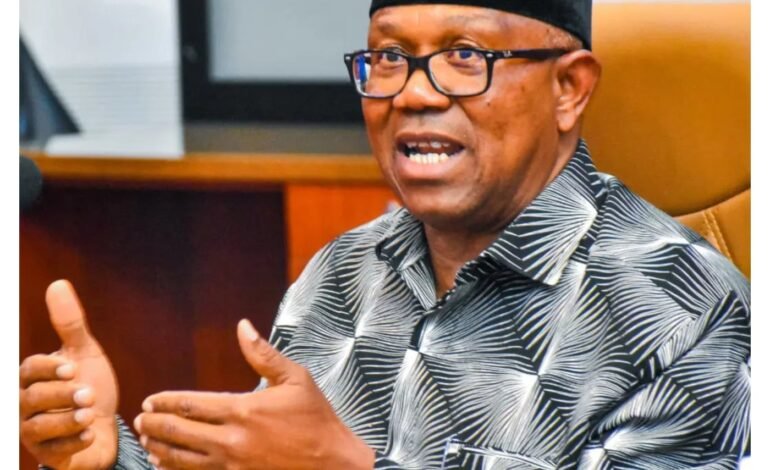 ‘Anarchy will consume everybody’ – Peter Obi breaks silence on Enugu NDC attack [VIDEO]