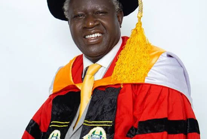 ‘Accumulation is not development’ – Odukoya urges Africa to build productive capacity